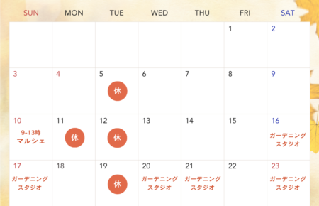 2024年11月店休日と寄せ植え教室開講日